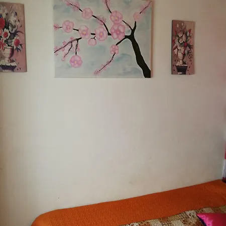 Ala Do Castelo Guest house *