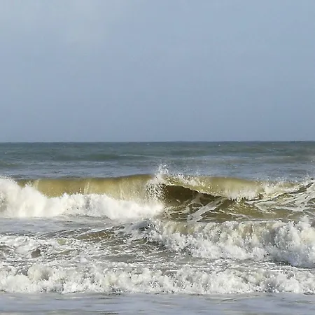 بيت ضيافة Ala Do Castelo