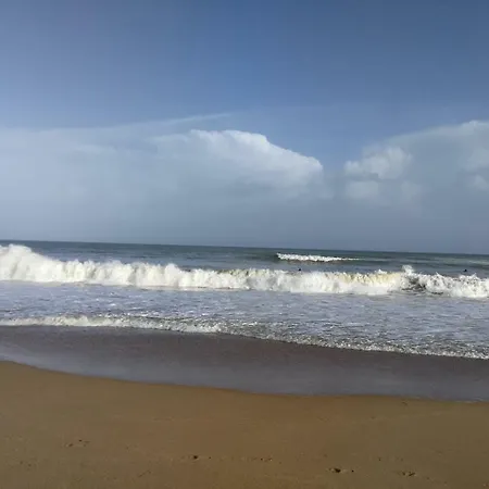 Ala Do Castelo * Lagos